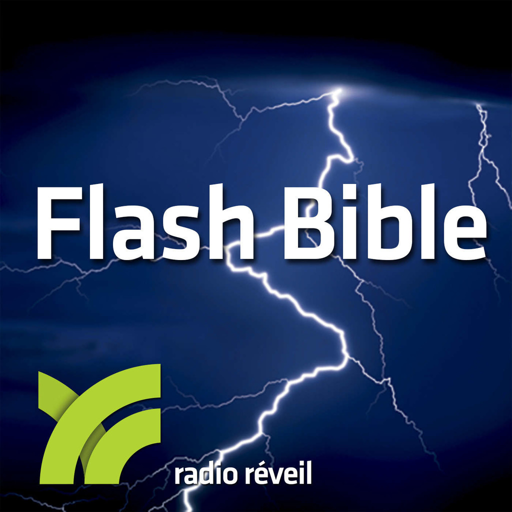 Flash Bible