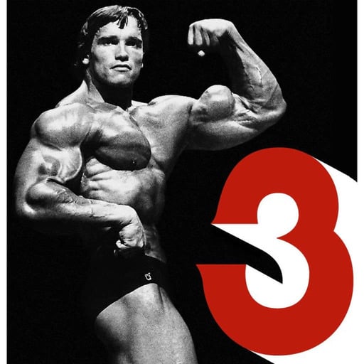 La fin absolue du monde #3 - Arnold Schwarzenegger