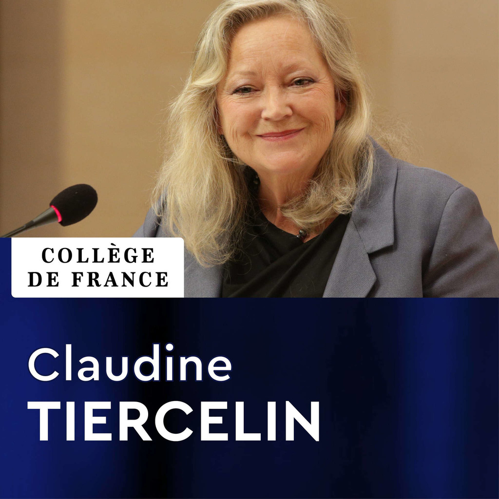 Métaphysique et philosophie de la connaissance - Claudine Tiercelin