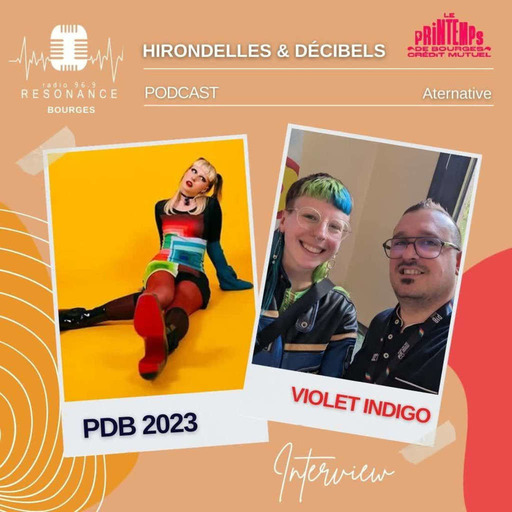 [PDB 2023] Hirondelles Et Décibels, la quotidienne - interview Violet Indigo