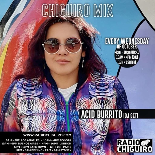 Chiguiro Mix #153 - Acid Burrito