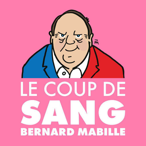 Le mariage de Borloo et Bayrou - S6E019