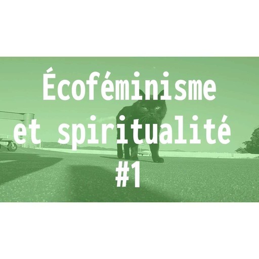 ÉCOFÉMINISME - Spiritualité #1