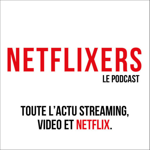 05 - Netflix, VODD et le référencement de l'offre légale (Septembre 2016)