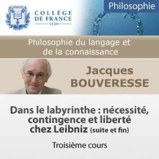 03 - Dans le labyrinthe : nécessité, contingence et liberté chez Leibniz (suite et fin)