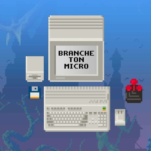 Branche Ton Micro