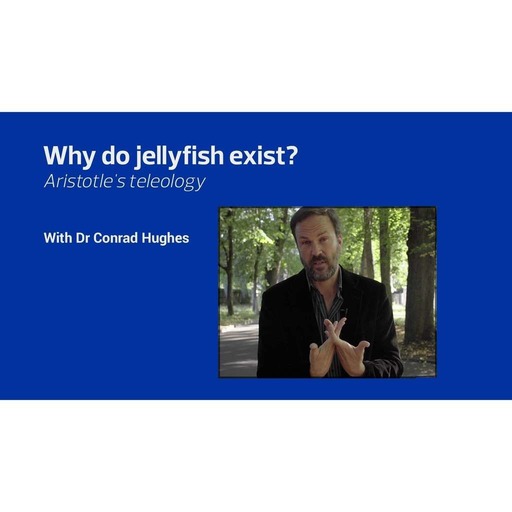 Creative question#5: Why do jellyfish exist? 