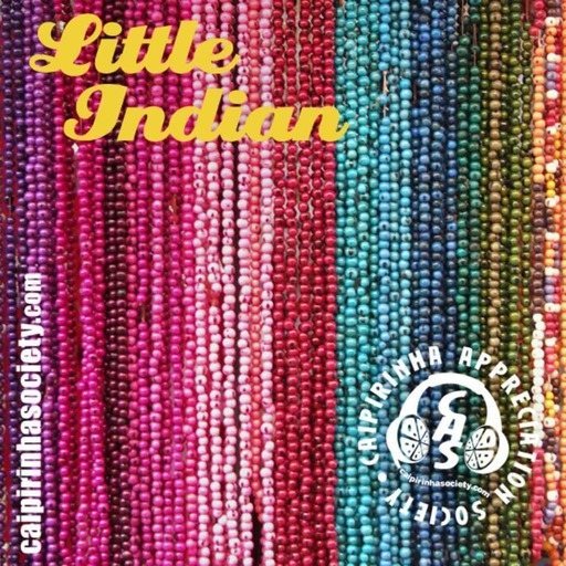 CAS 306 | Little Indian