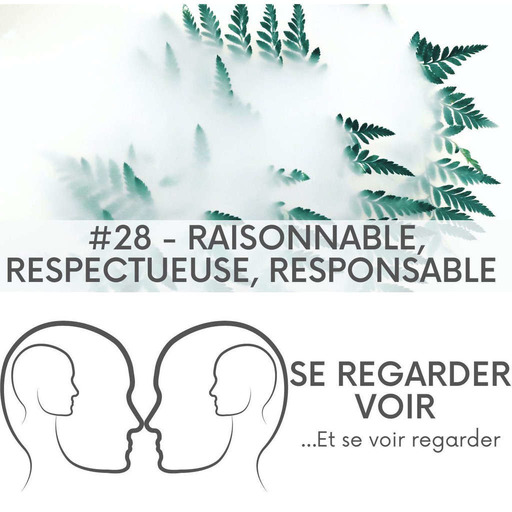 Hebdo  28 - Raisonnable, Respectueuse, Responsable (Partie 2)