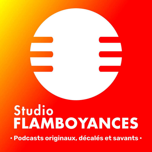 Une présentation en 1 minute du Studio Flamboyances !