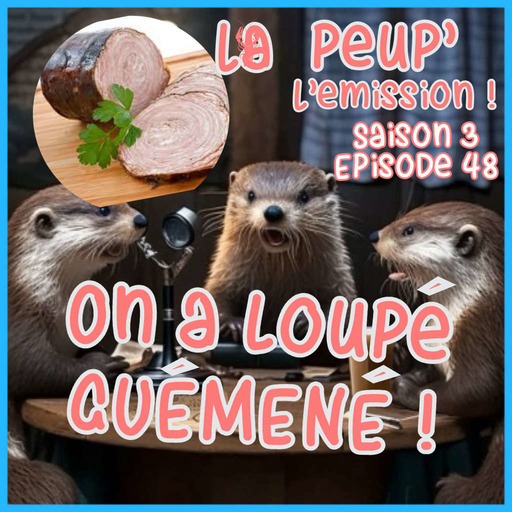  48 - Episode Quarante Huitième : Lapeup' ! On a loupé Guémené !