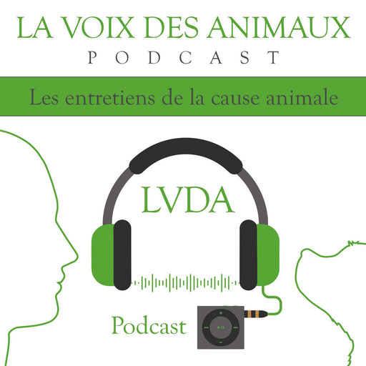 LVDA.HS#5 Avec Eddine Ariztegui Adjoint Du Maire Délégué Au Bien-Être Animal À Montpellier