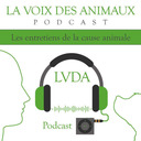 LVDA#59 Le Droit Au Service Des Animaux, Quels Qu'ils Soient (Avec Olivia Symniacos, Avocate)