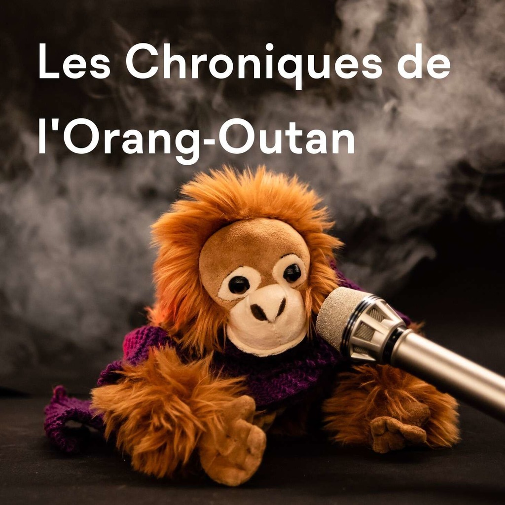 Les Chroniques de l'Orang-outan