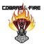 Cobras & Fire: Comedy / Rock Talk Show