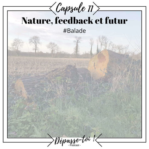 Capsule #11 -  Nature, feedback et futur...