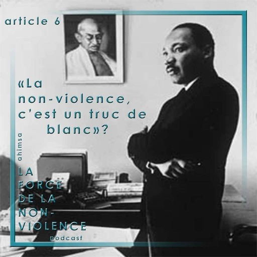 "La non-violence, c'est un truc de blanc"? - ARTICLE 6 par Irène Monden