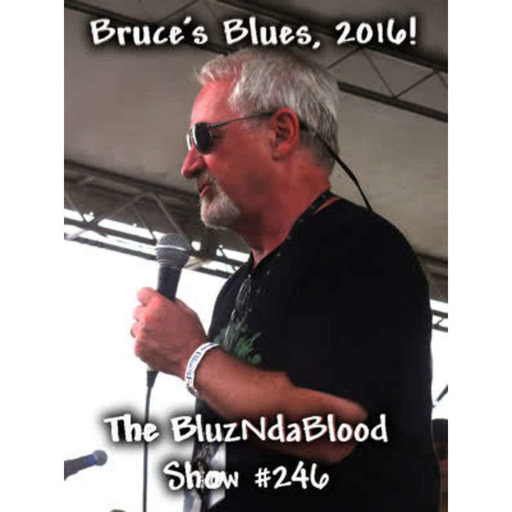 The BluzNdaBlood Show #246, Bruce's Blues, 2016!