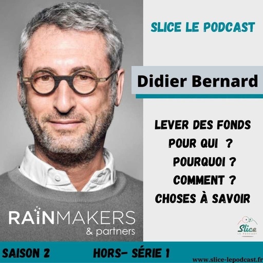 S2 - Hors-série 1 : Didier Bernard, le b.a. - ba de la levée de fonds