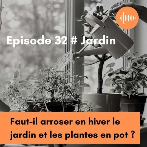 Podcast 32 // Faut-il arroser en hiver le jardin et les plantes en pot ?