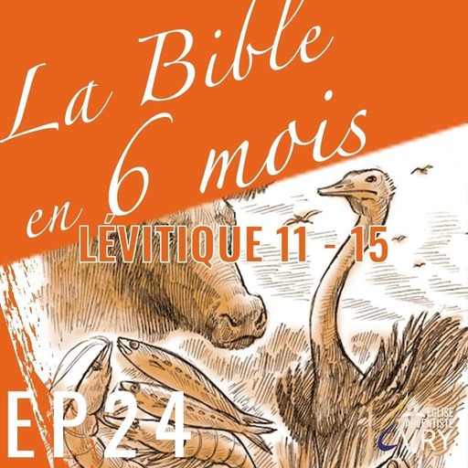 LA BIBLE EN 6 MOIS épisode 24 : Lévitique 11 - 15