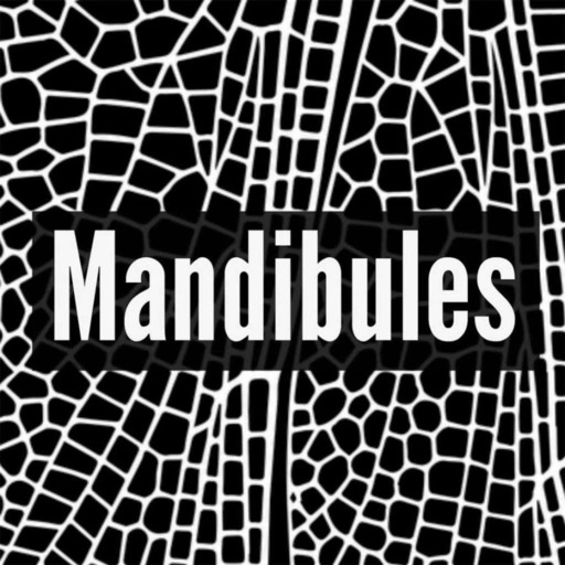 Mael Garrin : entomologiste, anatomie d'une passion - Mandibules Podcast S1E1