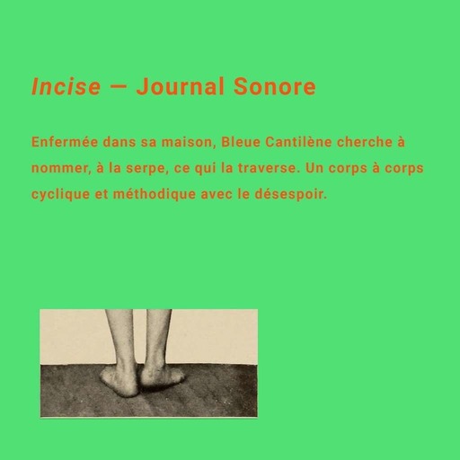 Incise