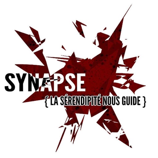 Synapse {La sérendipité nous guide}