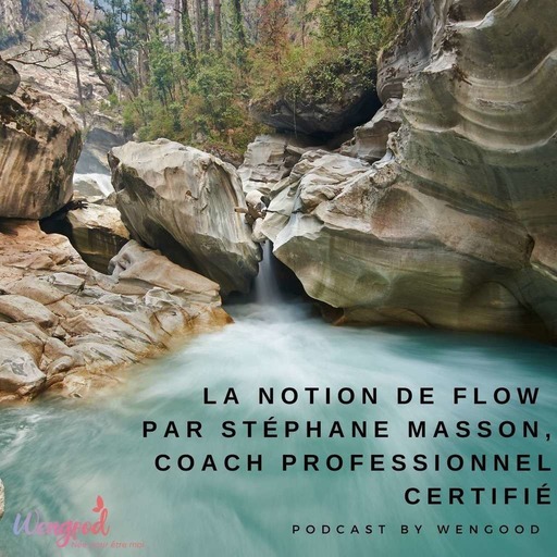 La notion de Flow par Stéphane Masson, coach certifié