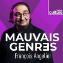 Anacharsis - vu de l'extérieur > À creux perdu - Mauvais genres (France Culture)