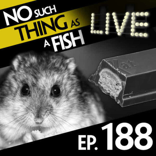 188: No Such Thing As A Mouth-Propelled Grenade Launcher