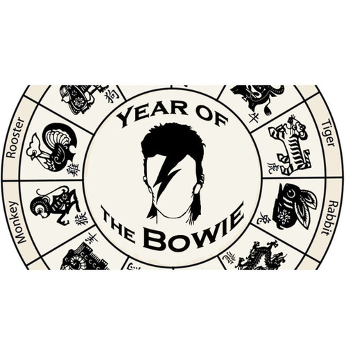 Year of the Bowie: Episode #8