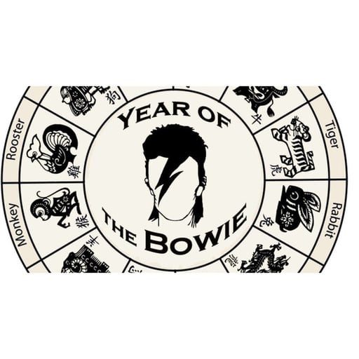 Year of the Bowie: Episode #4