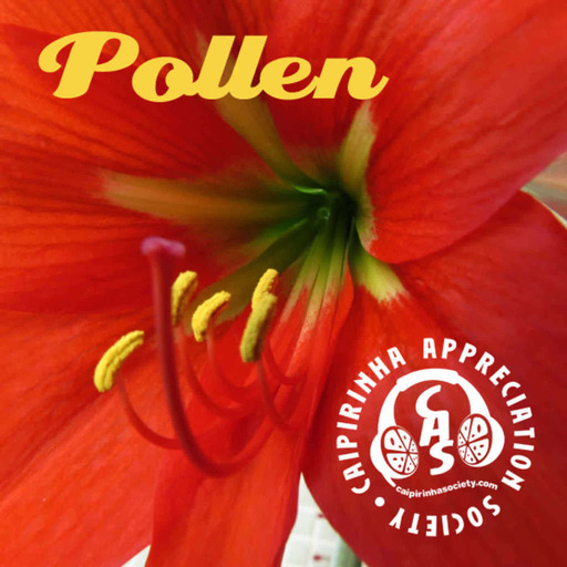 CAS 345 | Pollen