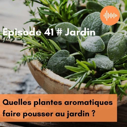 Podcast 41 // Quelles plantes aromatiques faire pousser au jardin ?