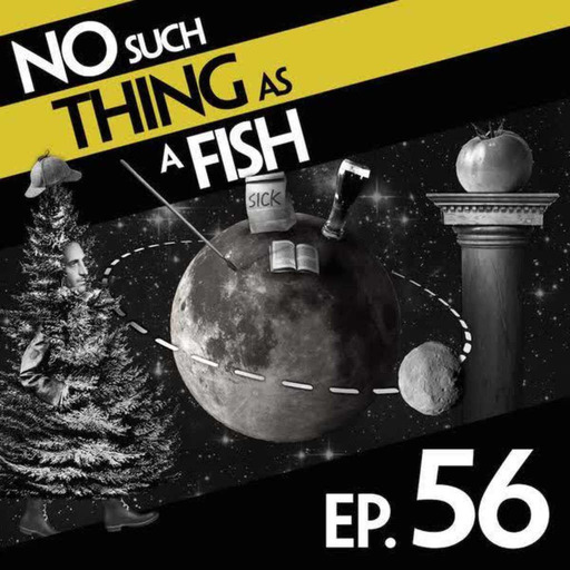56: No Such Thing As A Killer Tomato