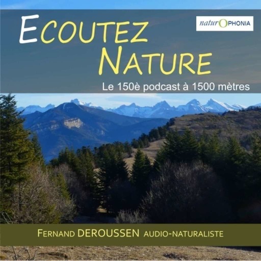 150 ème podcast à 1500 mètres