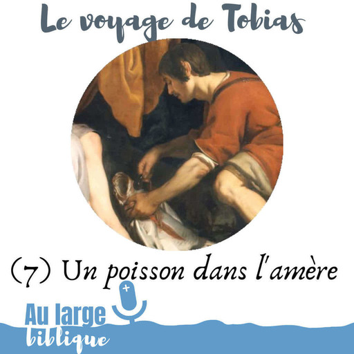 #164 Le voyage de Tobias (7) Un poisson dans l'amère
