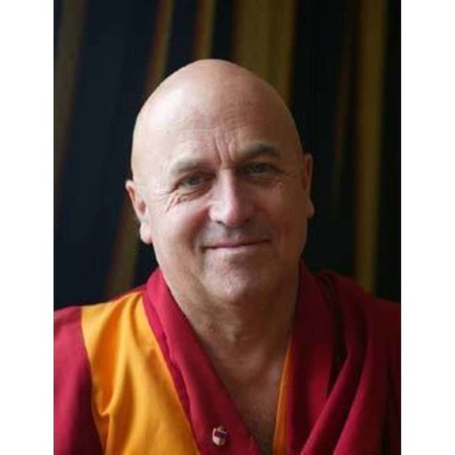 06 Conférence de Matthieu Ricard, maître boudhiste - La méditation solution à la dépression?