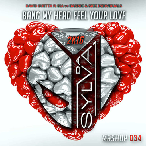 David Guetta ft Sia Vs Dannic x Sick Individuals - Bang My Head Feel Your Love (Da Sylva Mashup)