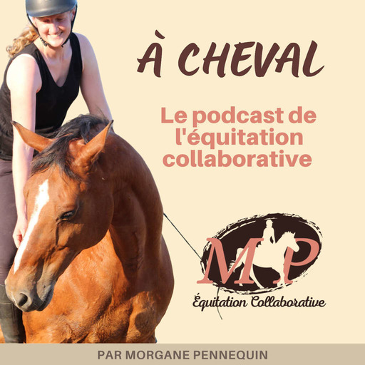 42. [Interview] La selle comme connecteur entre le cheval et le cavalier avec Eugénie Cottereau de @Ergonomie équestre