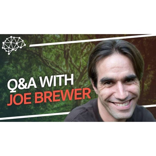Joe Brewer Q&A