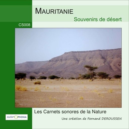 CS008_MAURITANIE_Souvenirs du désert