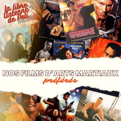 LA LIBRE ANTENNE DE PELI - NOS FILMS D'ARTS MARTIAUX PREFERES Feat SEB de YPDLM 