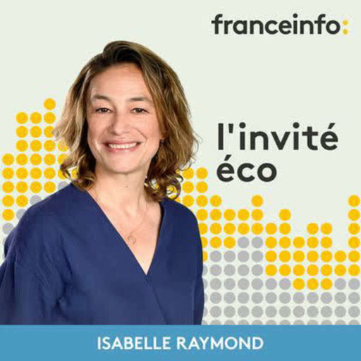 Adina Revol, porte-parole de la Commission européenne en France : "La compétitivité de l'industrie européenne sera préservée quoi qu'il en coûte"