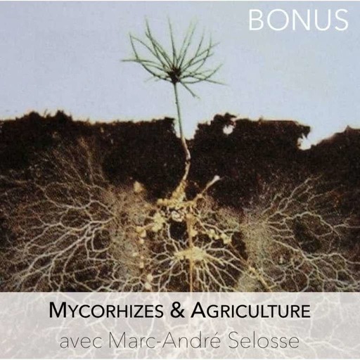 Bonus : Mycorhizes et Agriculture avec Marc-Andre Selosse