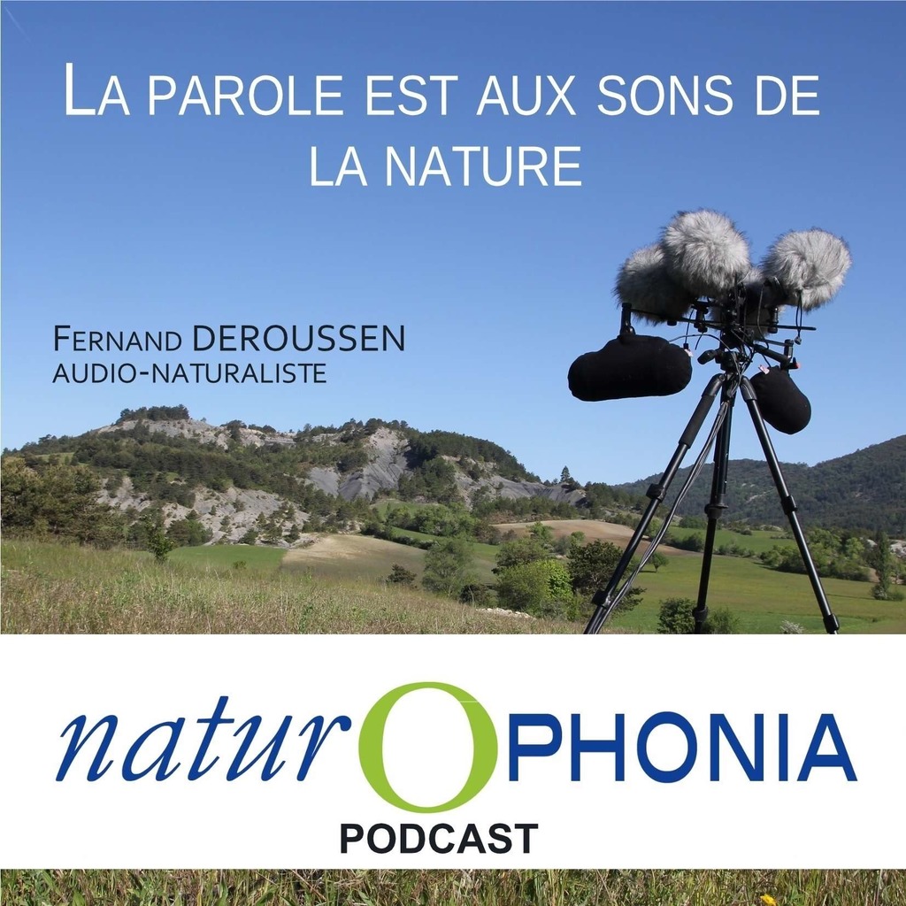 NATUROPHONIA podcast