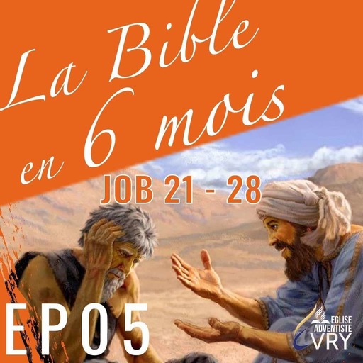 LA BIBLE EN 6 MOIS épisode 5 : Job 21 - 28