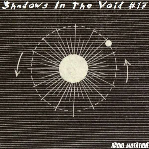 Shadows In The Void #17
