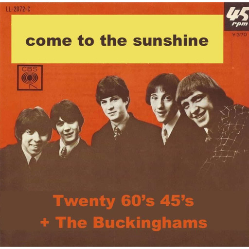 Episode 195: Come To The Sunshine 187 - The Buckinghams